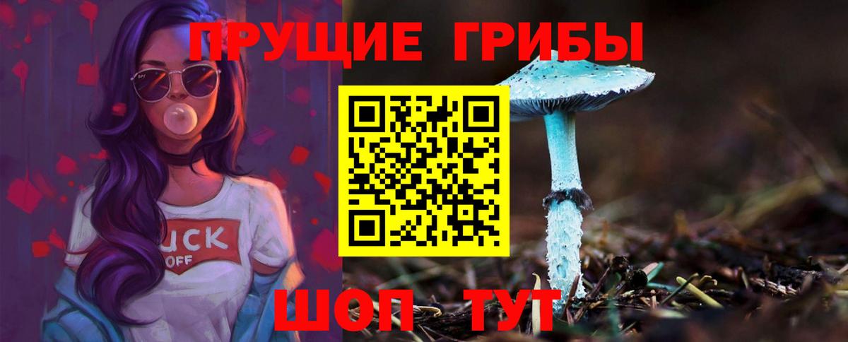 Галлюциногенные грибы мухоморы  Вход с VPN  Кимовск 